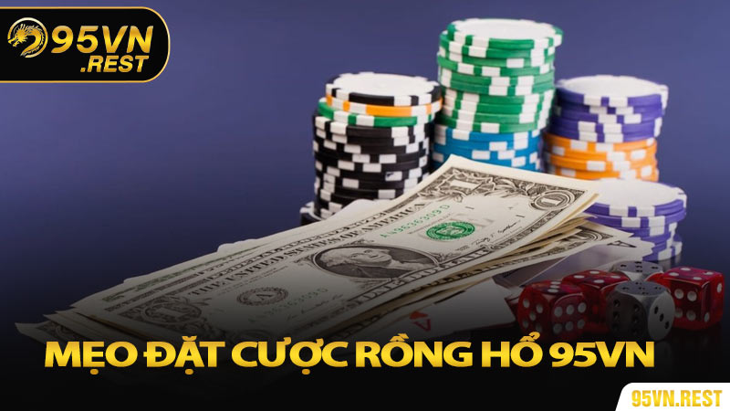Mẹo đặt cược giúp nâng cao tỷ lệ thắng trong Rồng Hổ 95VN