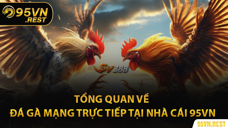 Tổng quan về đá gà mạng trực tiếp tại nhà cái 95vn